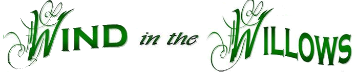 Wind in the Willows Out of School Care Wind in the Willows Out of School Care